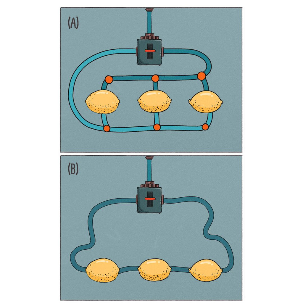 Diagram of three lemon batteries in series and in parallel