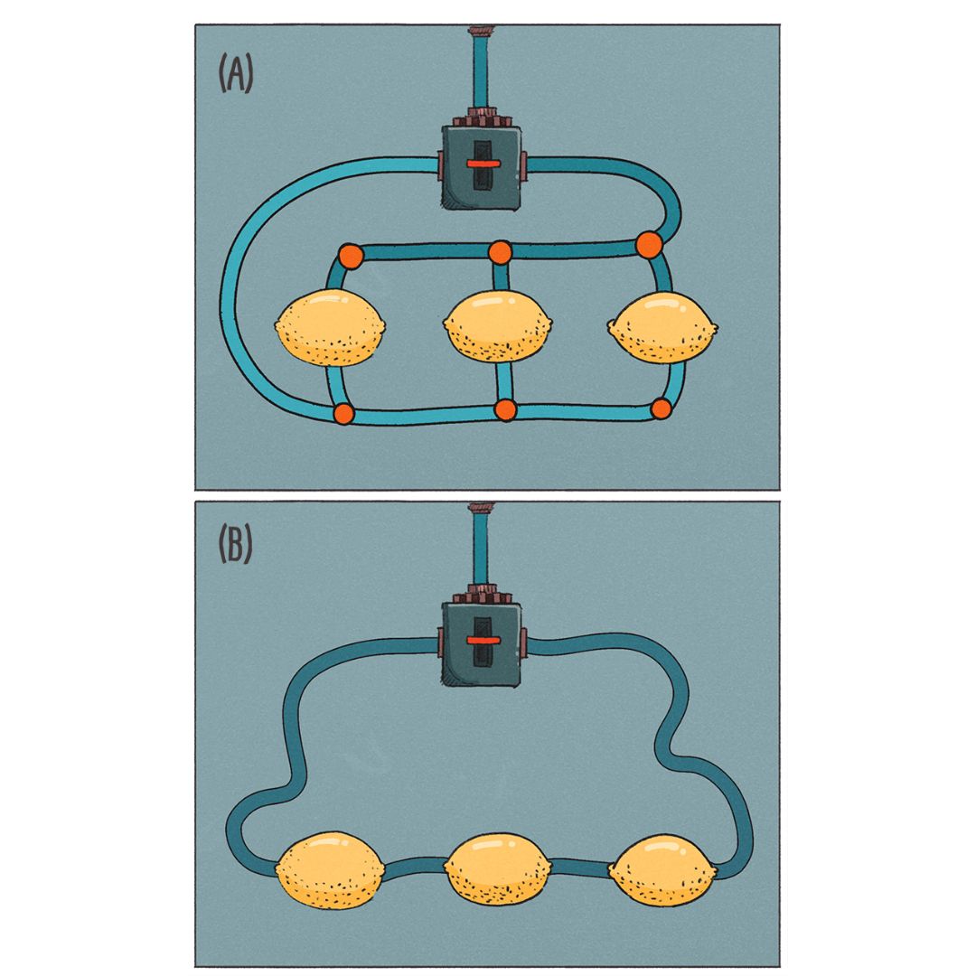 Diagram of three lemon batteries in series and in parallel
